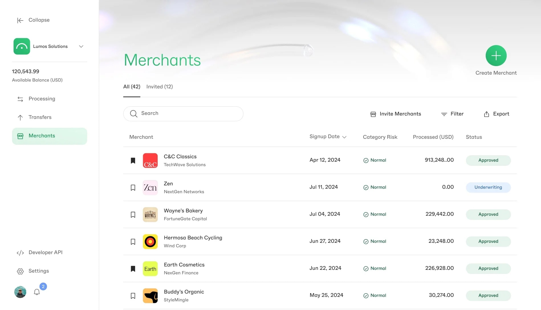 Acquirer portal listing boarded merchant accounts