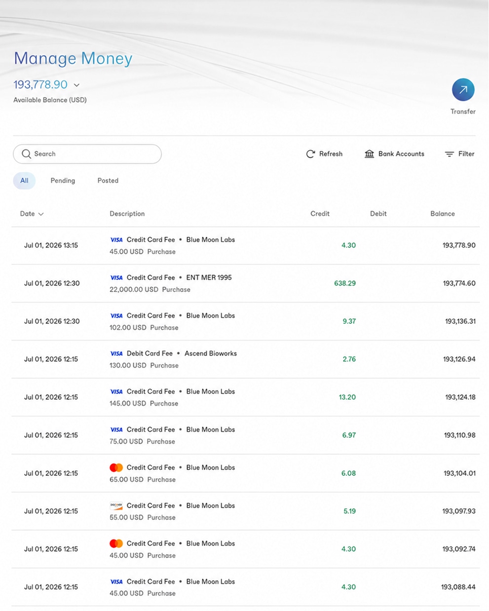 Manage money dashboard showing balance and transaction ledger